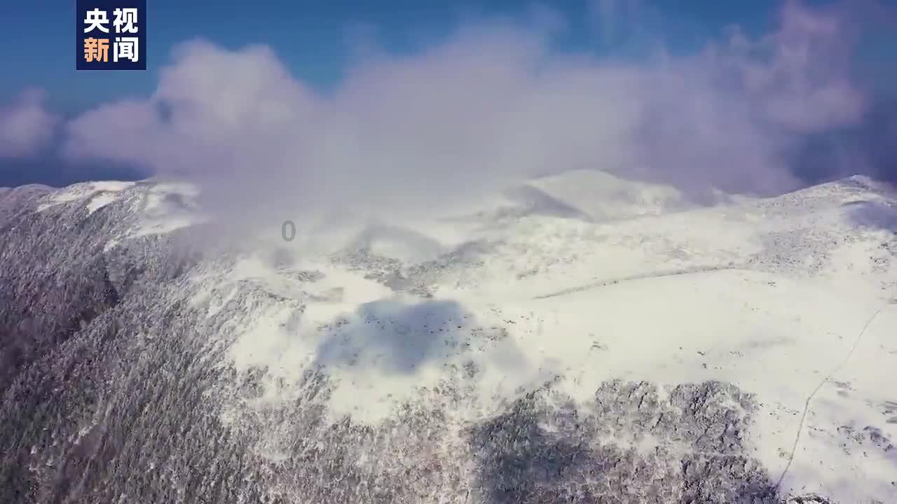 大叔钓鱼