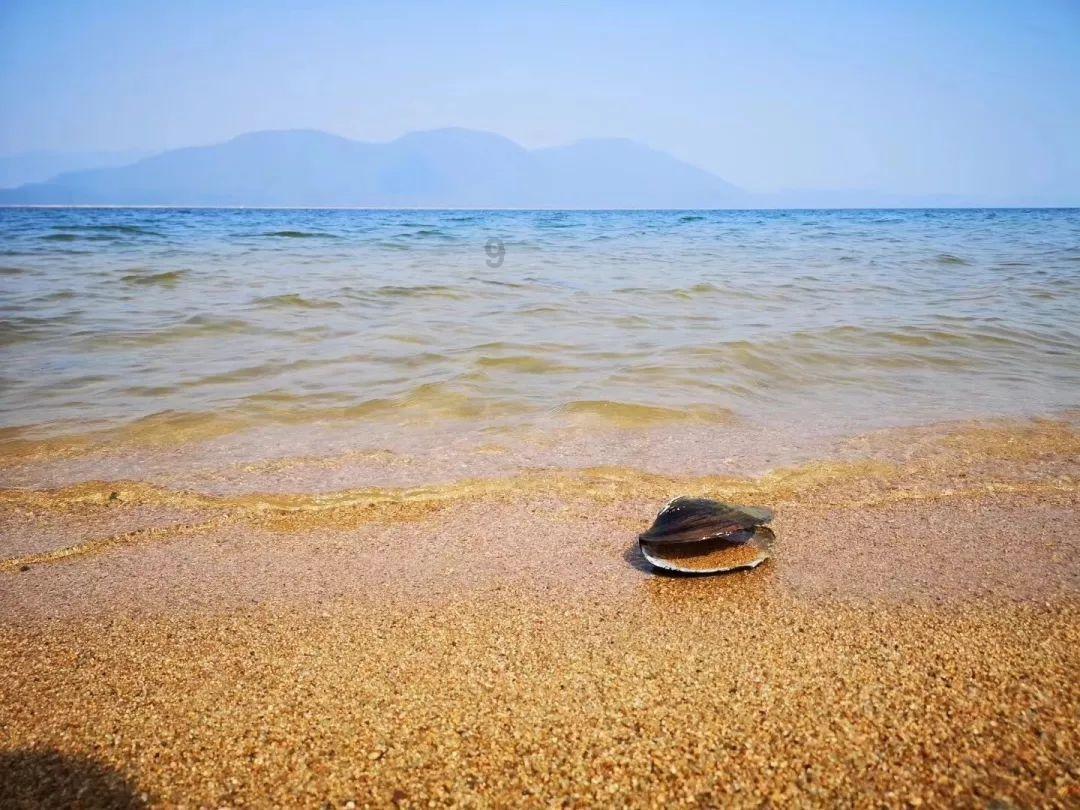 热带假日